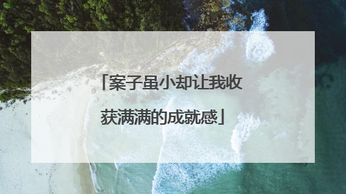 案子虽小却让我收获满满的成就感