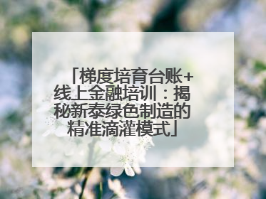 梯度培育台账+线上金融培训：揭秘新泰绿色制造的精准滴灌模式