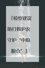 检察建议助打假护农守护“中原粮仓”