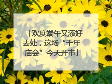 欢度端午又添好去处，这场“千年庙会”今天开市