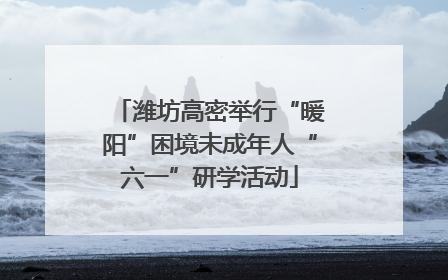 潍坊高密举行“暖阳”困境未成年人“六一”研学活动