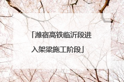 潍宿高铁临沂段进入架梁施工阶段
