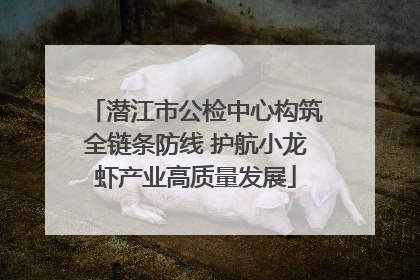 潜江市公检中心构筑全链条防线 护航小龙虾产业高质量发展
