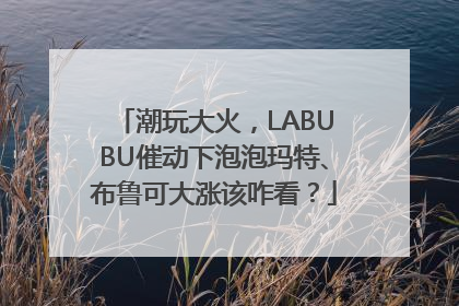 潮玩大火，LABUBU催动下泡泡玛特、布鲁可大涨该咋看？