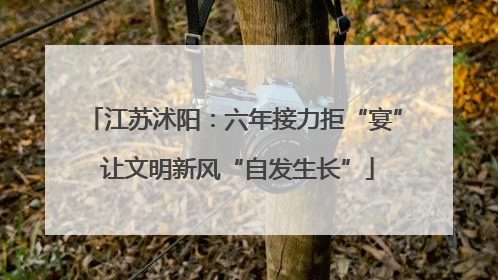 江苏沭阳：六年接力拒“宴” 让文明新风“自发生长”