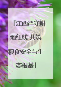 江西严守耕地红线 共筑粮食安全与生态根基