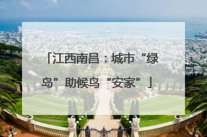 江西南昌：城市“绿岛”助候鸟“安家”