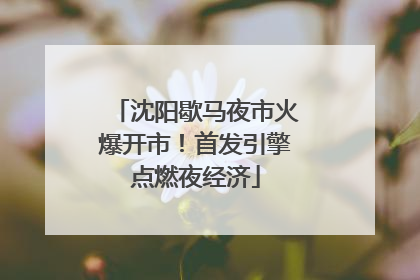 沈阳歇马夜市火爆开市！首发引擎点燃夜经济