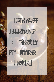 河南省开封县街小学：“银发智库”赋能教师成长