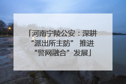 河南宁陵公安：深耕“派出所主防” 推进“警网融合”发展
