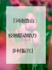 河南鲁山：校地联动助力乡村振兴