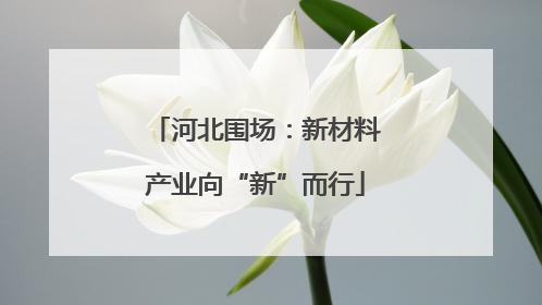 河北围场：新材料产业向“新”而行