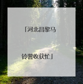河北昌黎马铃薯收获忙
