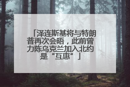 泽连斯基将与特朗普再次会晤，此前曾力陈乌克兰加入北约是“互惠”