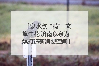 泉水点“睛” 文旅生花 济南以泉为媒打造新消费空间