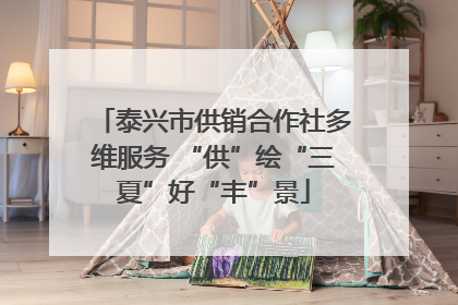 泰兴市供销合作社多维服务 “供”绘“三夏”好“丰”景
