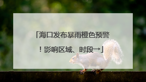 海口发布暴雨橙色预警！影响区域、时段→