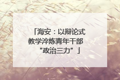 海安：以辩论式教学淬炼青年干部“政治三力”
