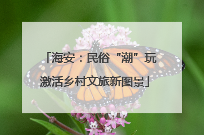 海安：民俗“潮”玩激活乡村文旅新图景