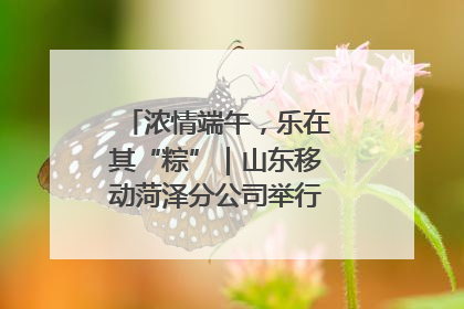 浓情端午，乐在其“粽”｜山东移动菏泽分公司举行端午节主题活动