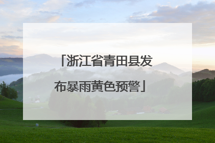 浙江省青田县发布暴雨黄色预警
