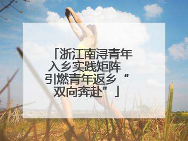 浙江南浔青年入乡实践矩阵 引燃青年返乡“双向奔赴”