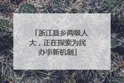 浙江县乡两级人大，正在探索为民办事新机制