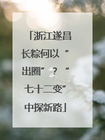 浙江遂昌长粽何以“出圈”？“七十二变”中探新路