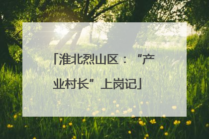 淮北烈山区：“产业村长”上岗记