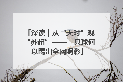 深读｜从“天时”观“苏超”——一只球何以踢出全网喝彩