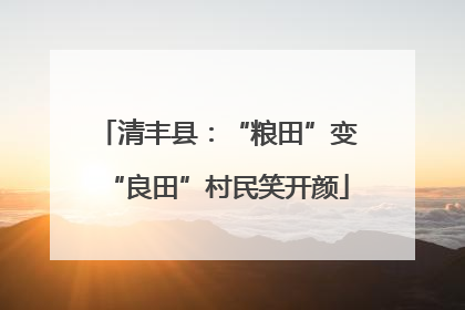清丰县：“粮田”变“良田”村民笑开颜