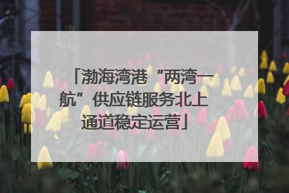 渤海湾港“两湾一航”供应链服务北上通道稳定运营