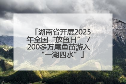湖南省开展2025年全国“放鱼日” 7200多万尾鱼苗游入“一湖四水”