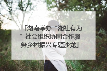 湖南举办“湘社有为”社会组织协同合作服务乡村振兴专题沙龙