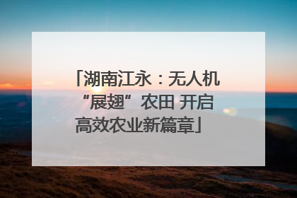 湖南江永：无人机“展翅”农田 开启高效农业新篇章