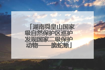 湖南舜皇山国家级自然保护区巡护发现国家二级保护动物——脆蛇蜥