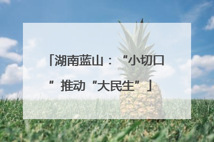 湖南蓝山：“小切口”推动“大民生”