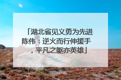 湖北省见义勇为先进陈伟：逆火而行伸援手，平凡之躯亦英雄