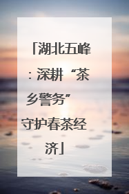 湖北五峰：深耕“茶乡警务” 守护春茶经济