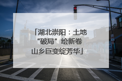 湖北崇阳：土地“破局”绘新卷 山乡巨变绽芳华
