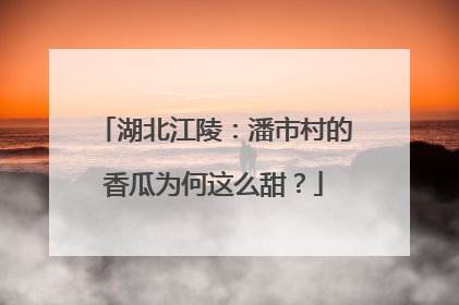 湖北江陵：潘市村的香瓜为何这么甜？
