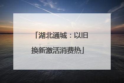 湖北通城：以旧换新激活消费热