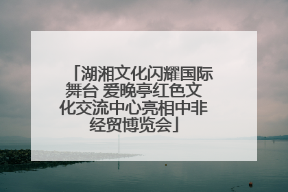 湖湘文化闪耀国际舞台 爱晚亭红色文化交流中心亮相中非经贸博览会