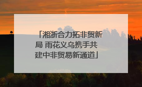 湘浙合力拓非贸新局 雨花义乌携手共建中非贸易新通道
