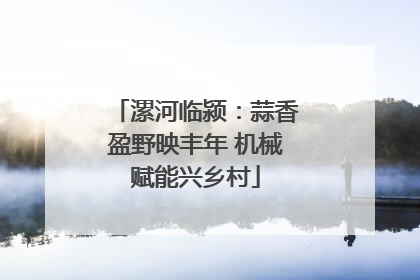漯河临颍：蒜香盈野映丰年 机械赋能兴乡村
