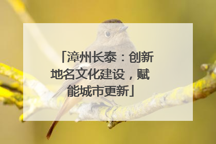 漳州长泰：创新地名文化建设，赋能城市更新