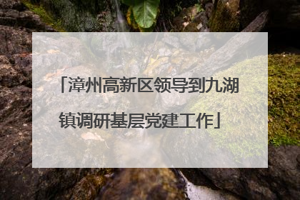 漳州高新区领导到九湖镇调研基层党建工作