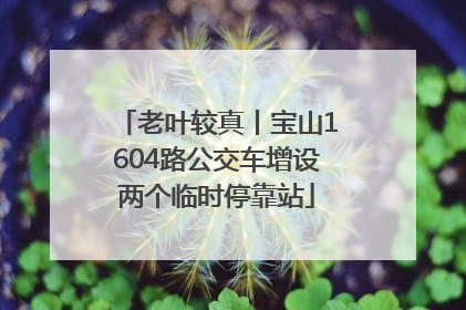 老叶较真丨宝山1604路公交车增设两个临时停靠站