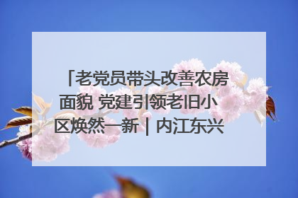 老党员带头改善农房面貌 党建引领老旧小区焕然一新｜内江东兴“红”在哪？④
