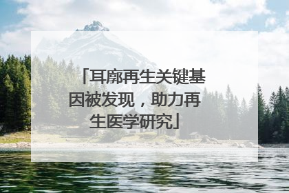 耳廓再生关键基因被发现，助力再生医学研究